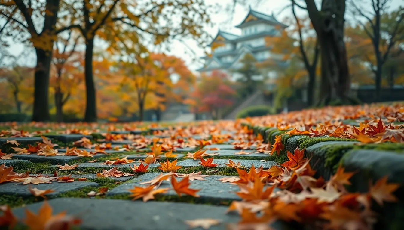 아라시야마 단풍