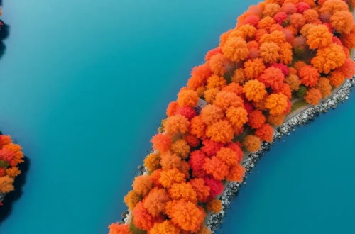 2025년 삼척 갈남항 단풍 절정! 숨겨진 가을 바다 풍경 명소 & 여행 꿀팁 44 example 163