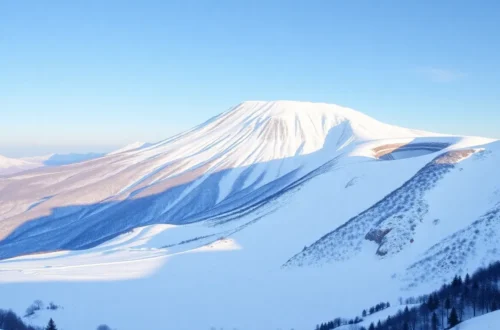 2025년 겨울 한라산 등반: 숨겨진 눈꽃 명소와 코스 완벽 가이드 8 example 1