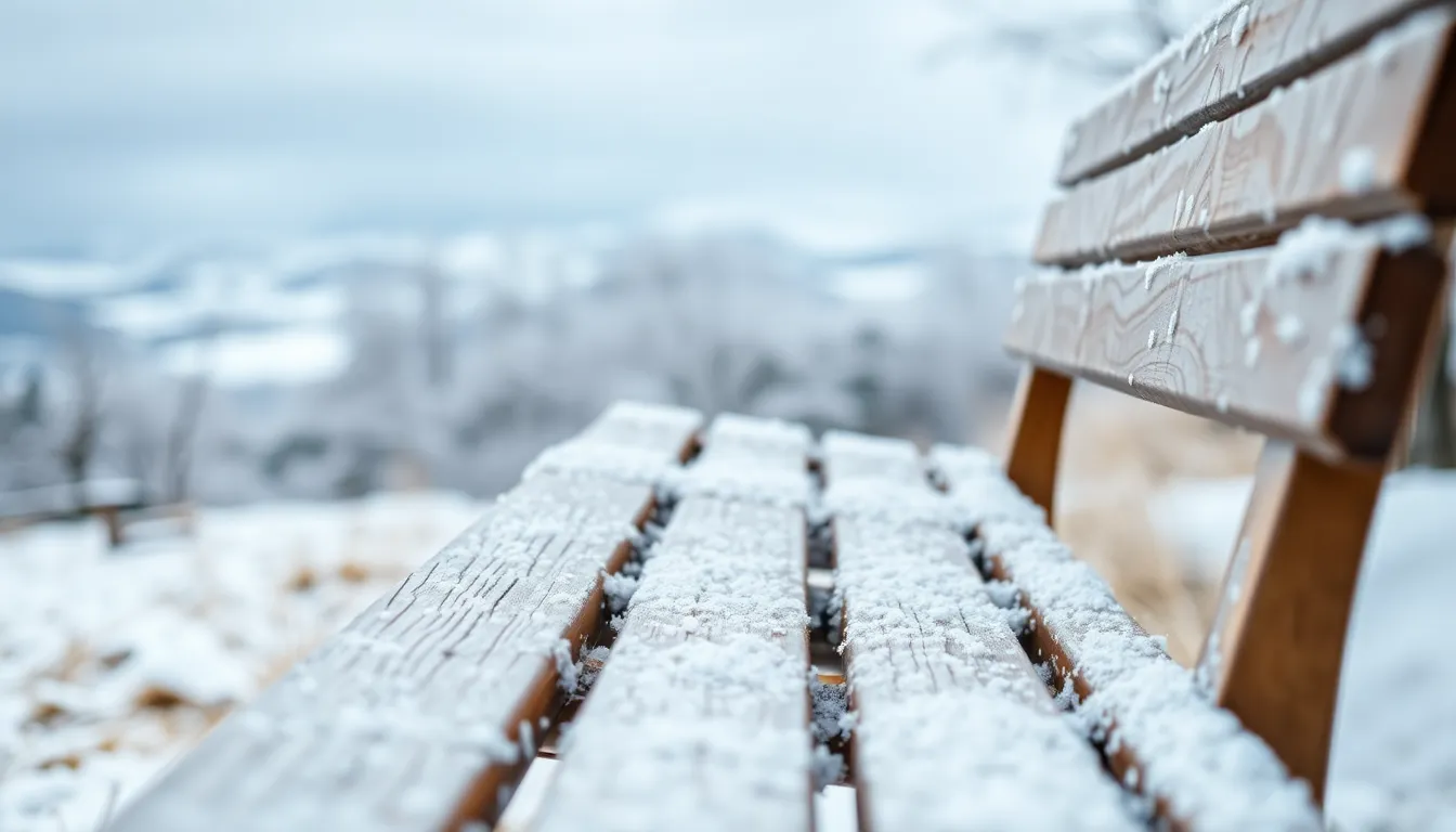 2025년 대관령 양떼목장 겨울 데이트 코스 추천! 눈꽃 명소 & 꿀팁 2 대관령 양떼목장 겨울 풍경