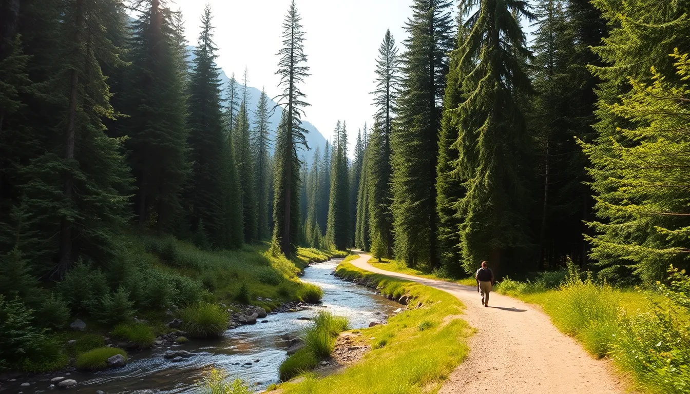 캐나다 로키 어퍼 레이크 트레킹 중 에메랄드빛 호수와 설산 풍경