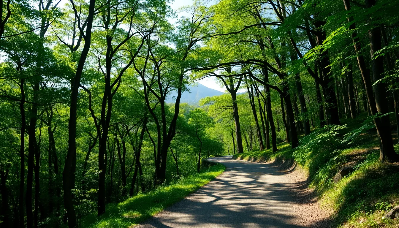 초보도 정복! 북한산 둘레길 코스별 난이도 추천 2 북한산 둘레길에서 걷는 사람들의 모습